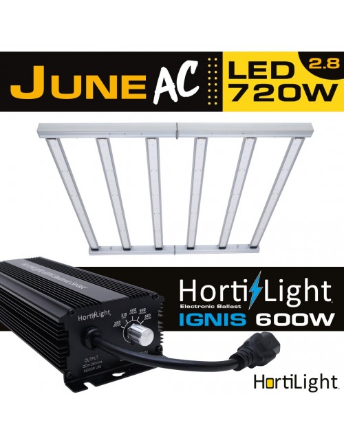 June AC LED Six Bar 720W Hortilight+Balastro